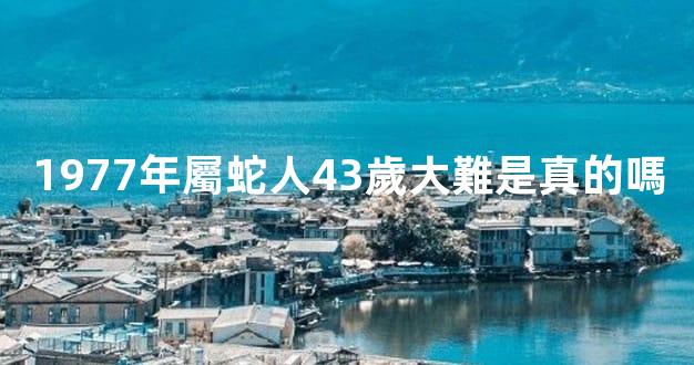 1977年屬蛇人43歲大難是真的嗎