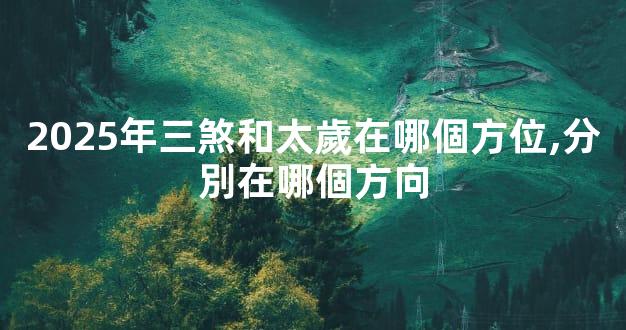 2025年三煞和太歲在哪個方位,分別在哪個方向