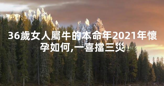 36歲女人屬牛的本命年2021年懷孕如何,一喜擋三災