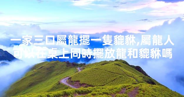 一家三口屬龍擺一隻貔貅,屬龍人可以在桌上同時擺放龍和貔貅嗎