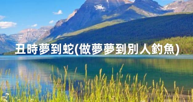 丑時夢到蛇(做夢夢到別人釣魚)