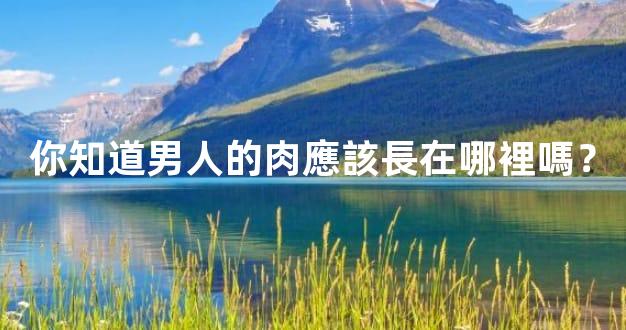 你知道男人的肉應該長在哪裡嗎？
