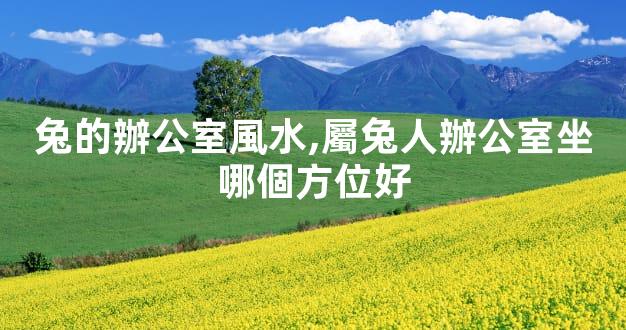兔的辦公室風水,屬兔人辦公室坐哪個方位好