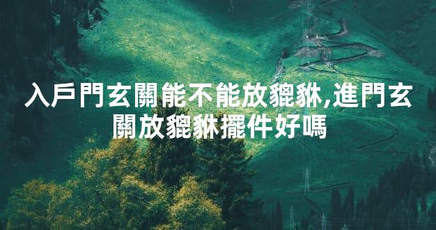 入戶門玄關能不能放貔貅,進門玄關放貔貅擺件好嗎