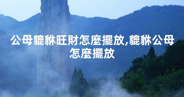 公母貔貅旺財怎麼擺放,貔貅公母怎麼擺放