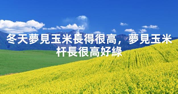 冬天夢見玉米長得很高，夢見玉米杆長很高好綠
