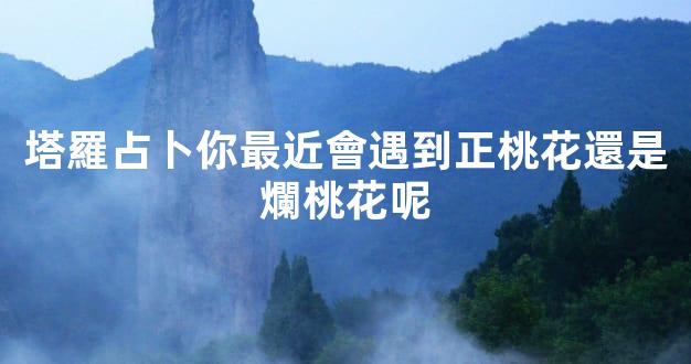 塔羅占卜你最近會遇到正桃花還是爛桃花呢