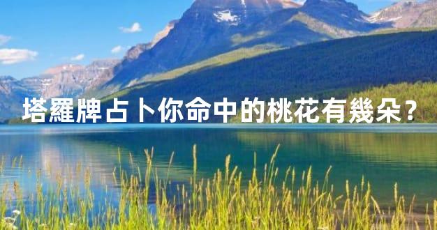 塔羅牌占卜你命中的桃花有幾朵？