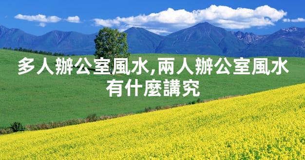 多人辦公室風水,兩人辦公室風水有什麼講究