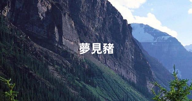夢見豬