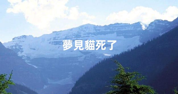 夢見貓死了