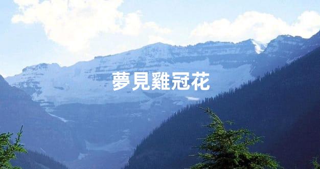 夢見雞冠花