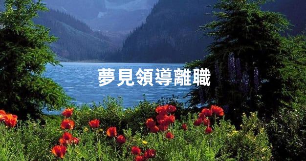 夢見領導離職