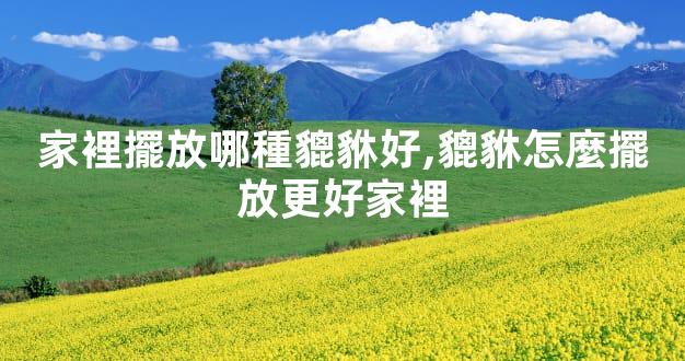家裡擺放哪種貔貅好,貔貅怎麼擺放更好家裡