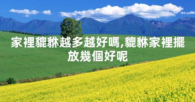 家裡貔貅越多越好嗎,貔貅家裡擺放幾個好呢