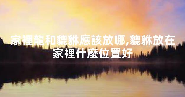 家裡龍和貔貅應該放哪,貔貅放在家裡什麼位置好