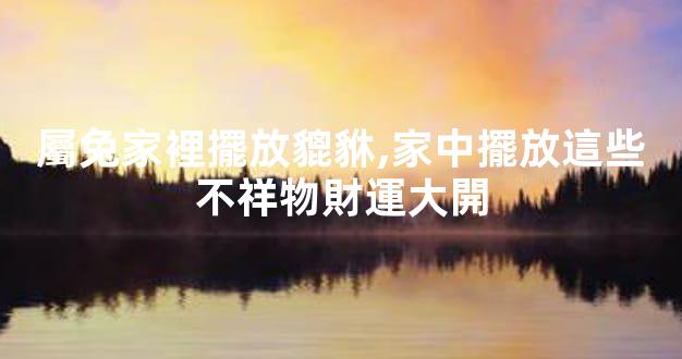 屬兔家裡擺放貔貅,家中擺放這些不祥物財運大開