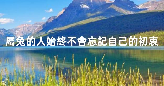 屬兔的人始終不會忘記自己的初衷