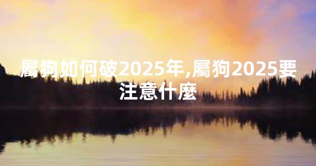 屬狗如何破2025年,屬狗2025要注意什麼