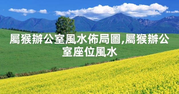 屬猴辦公室風水佈局圖,屬猴辦公室座位風水