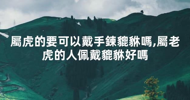 屬虎的要可以戴手鍊貔貅嗎,屬老虎的人佩戴貔貅好嗎