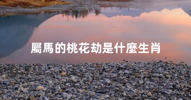 屬馬的桃花劫是什麼生肖