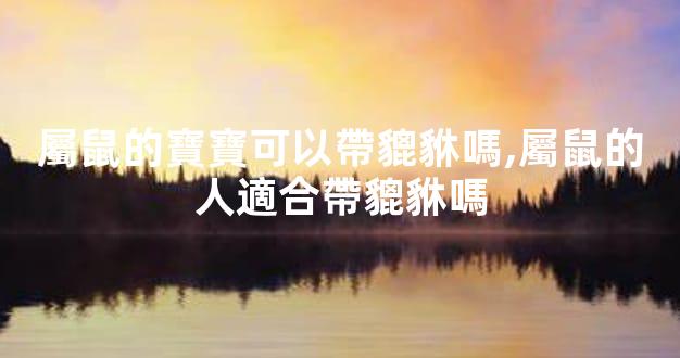 屬鼠的寶寶可以帶貔貅嗎,屬鼠的人適合帶貔貅嗎