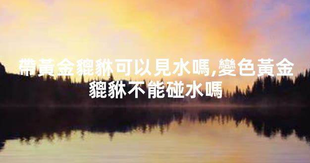 帶黃金貔貅可以見水嗎,變色黃金貔貅不能碰水嗎
