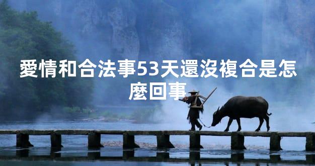 愛情和合法事53天還沒複合是怎麼回事