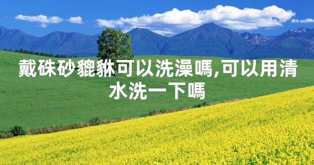 戴硃砂貔貅可以洗澡嗎,可以用清水洗一下嗎