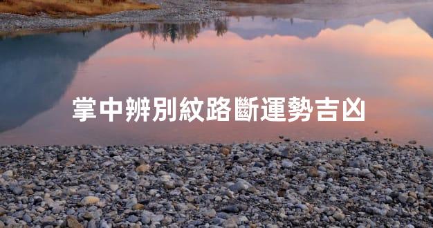 掌中辨別紋路斷運勢吉凶