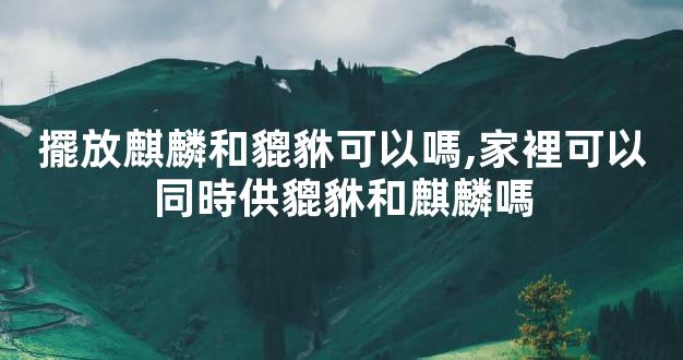 擺放麒麟和貔貅可以嗎,家裡可以同時供貔貅和麒麟嗎
