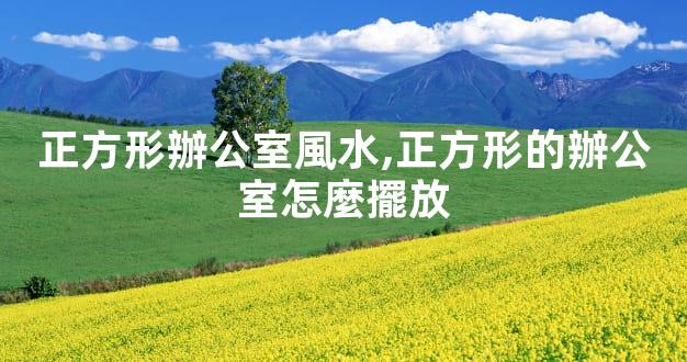 正方形辦公室風水,正方形的辦公室怎麼擺放