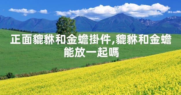 正面貔貅和金蟾掛件,貔貅和金蟾能放一起嗎