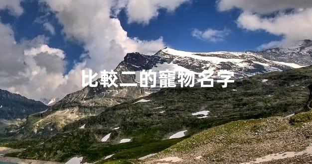 比較二的寵物名字