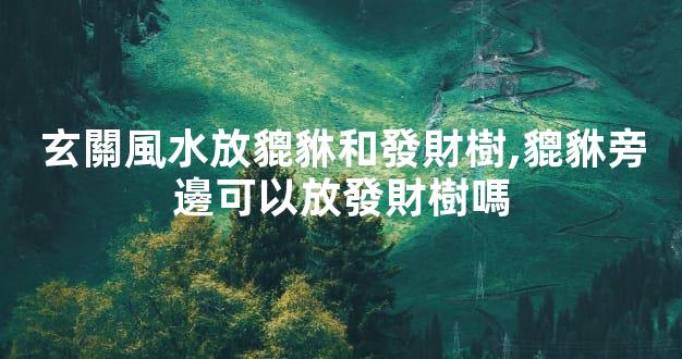 玄關風水放貔貅和發財樹,貔貅旁邊可以放發財樹嗎