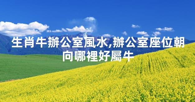 生肖牛辦公室風水,辦公室座位朝向哪裡好屬牛
