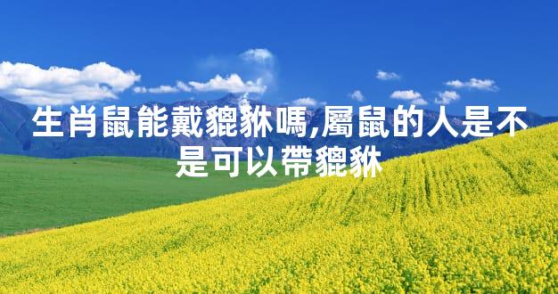 生肖鼠能戴貔貅嗎,屬鼠的人是不是可以帶貔貅