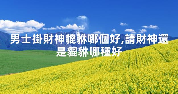 男士掛財神貔貅哪個好,請財神還是貔貅哪種好