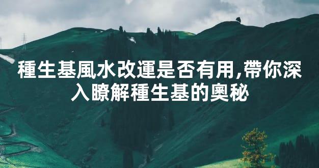 種生基風水改運是否有用,帶你深入瞭解種生基的奧秘