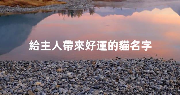給主人帶來好運的貓名字