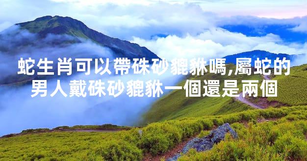 蛇生肖可以帶硃砂貔貅嗎,屬蛇的男人戴硃砂貔貅一個還是兩個