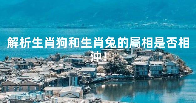 解析生肖狗和生肖兔的屬相是否相沖！