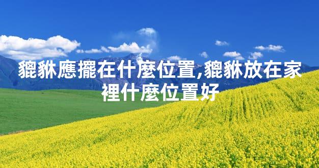 貔貅應擺在什麼位置,貔貅放在家裡什麼位置好