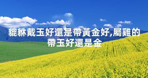貔貅戴玉好還是帶黃金好,屬雞的帶玉好還是金