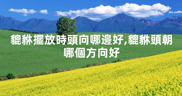 貔貅擺放時頭向哪邊好,貔貅頭朝哪個方向好