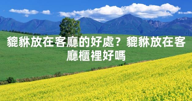 貔貅放在客廳的好處？貔貅放在客廳櫃裡好嗎