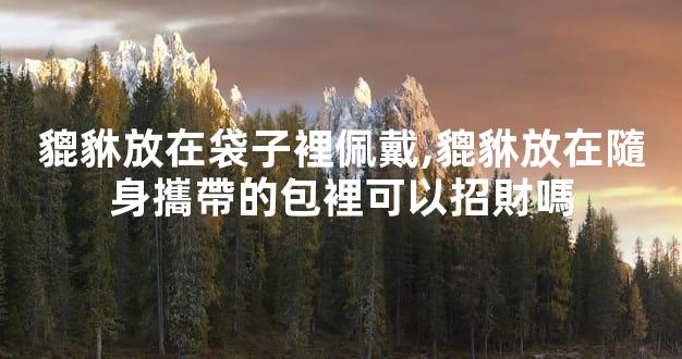 貔貅放在袋子裡佩戴,貔貅放在隨身攜帶的包裡可以招財嗎