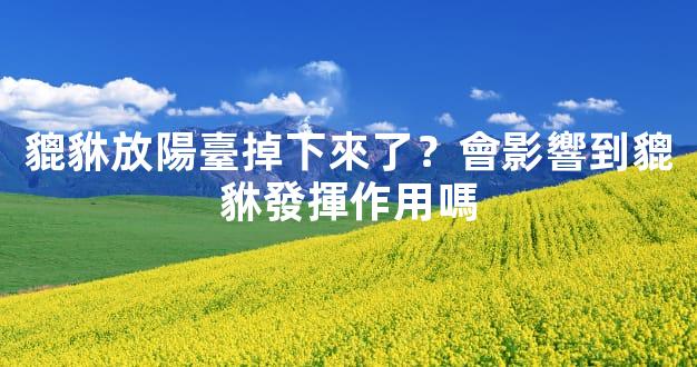 貔貅放陽臺掉下來了？會影響到貔貅發揮作用嗎