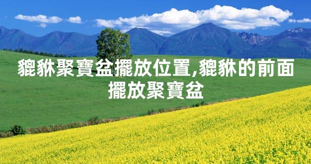 貔貅聚寶盆擺放位置,貔貅的前面擺放聚寶盆